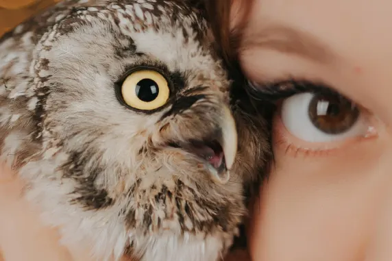 Kazino Palace of Chance Atbalsts